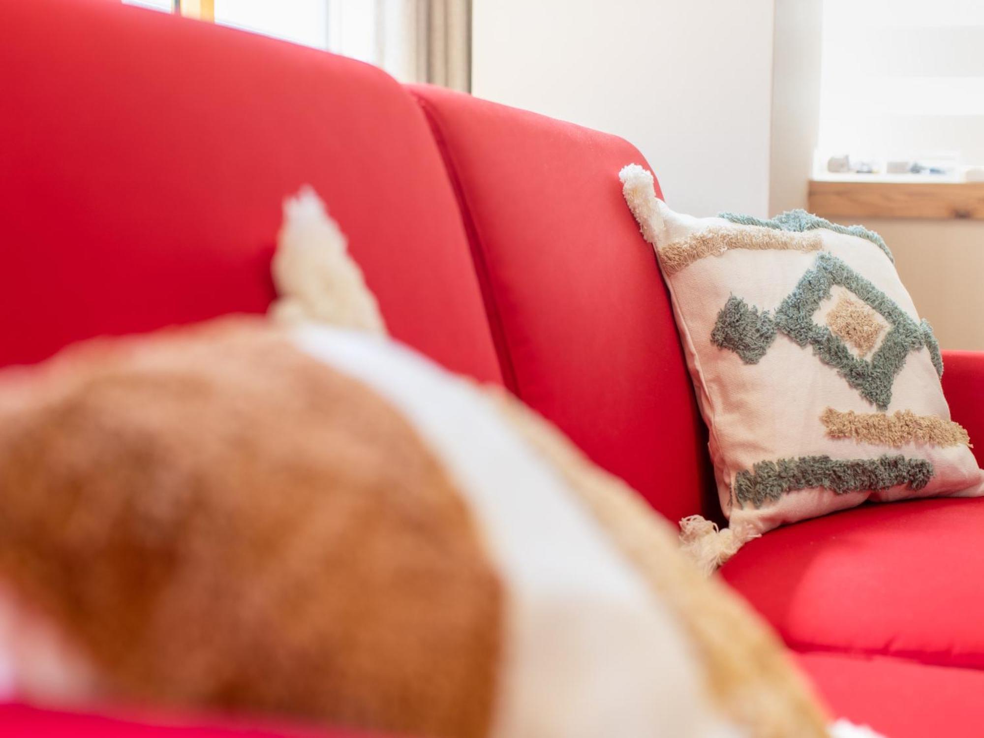 Appartement Okubo Sta10min Walk/ Shinjyuku Sta 2min/85 ㎡/3ldk *